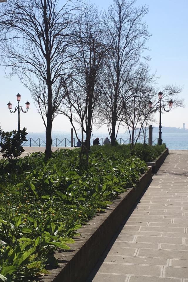 Nice & Cozy apartment