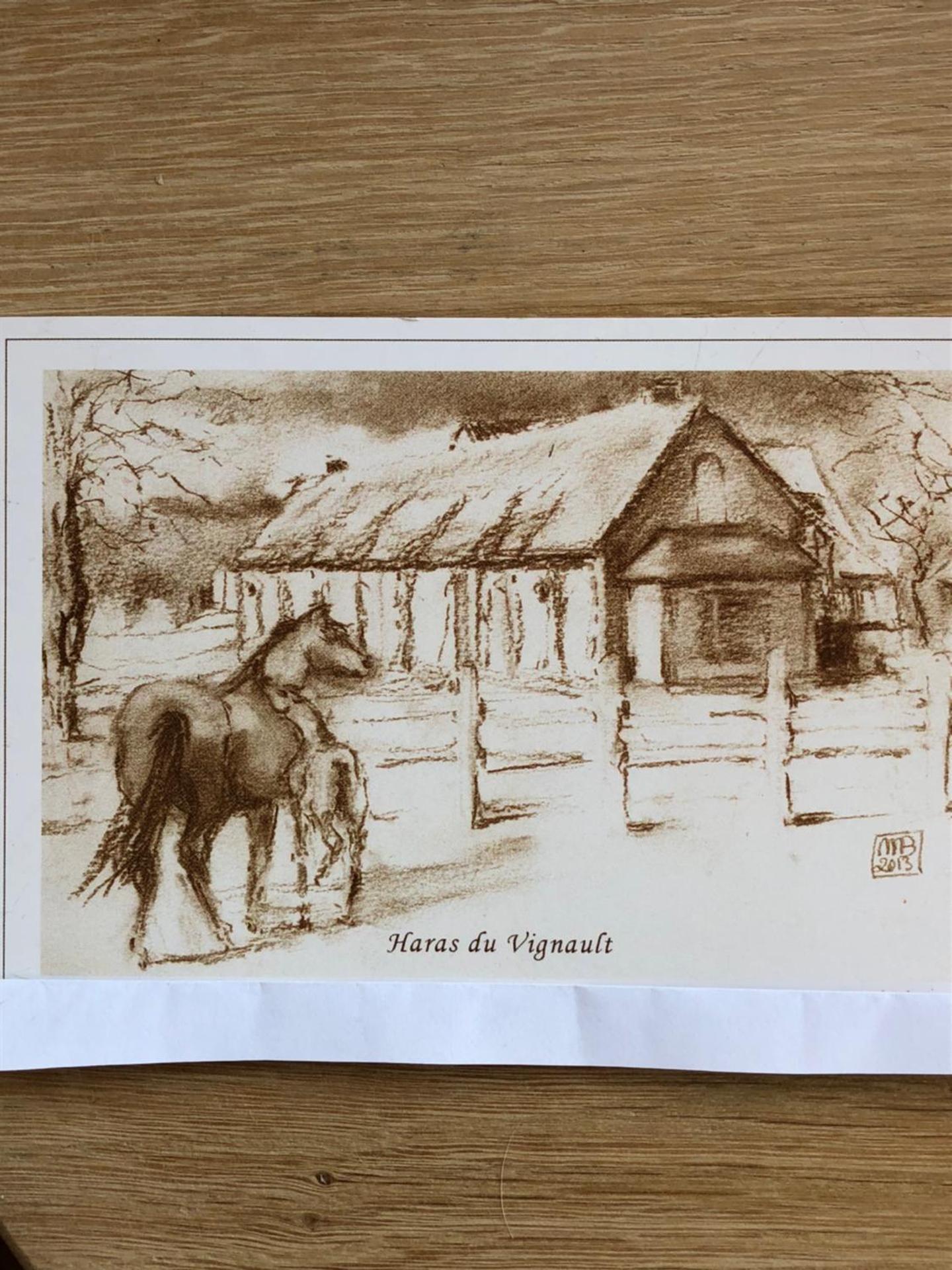 haras du Vignault Le Bûcher