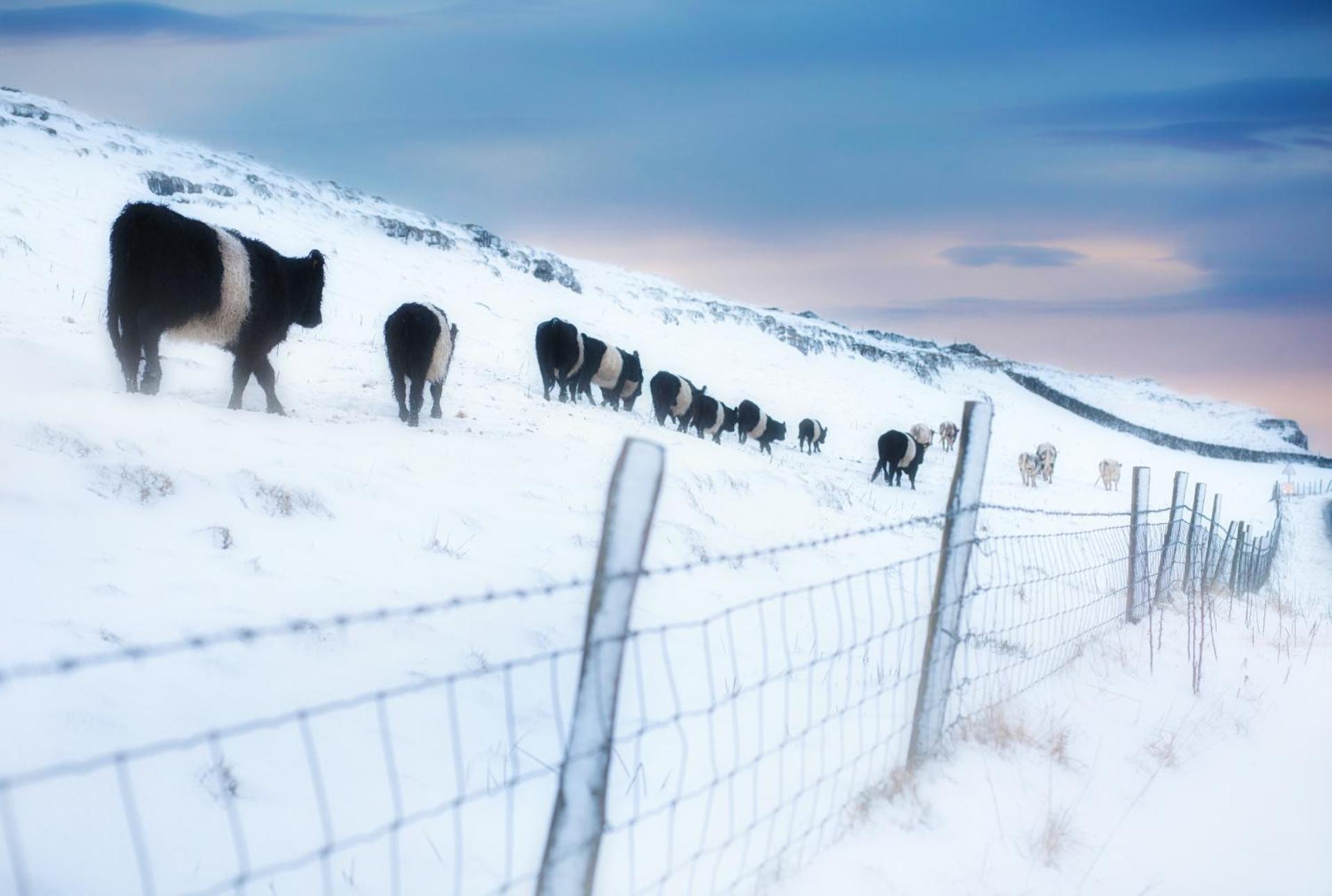 Linton Court Coach House