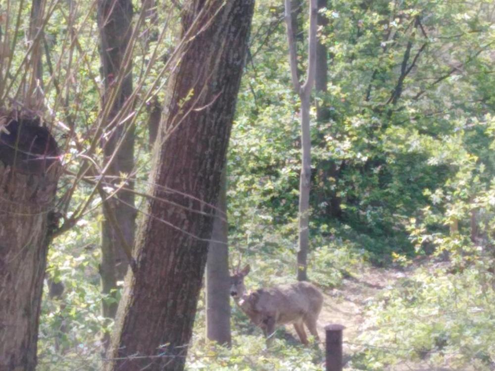 Privát U čápů v Beskydech