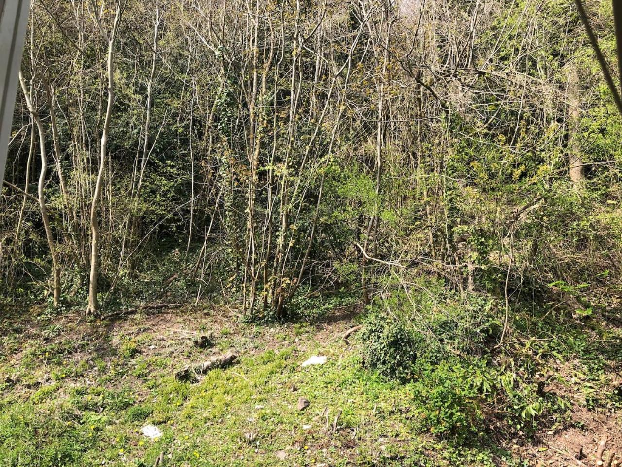 Symonds Yat - Herefordshire property with stunning views