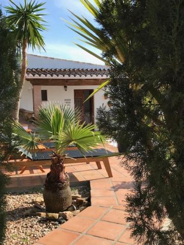 B&B Cortijo Loma León