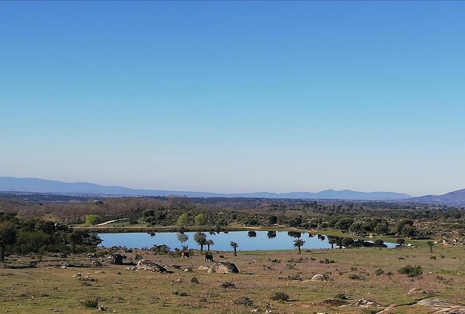 Apartamento Zocailla Suite