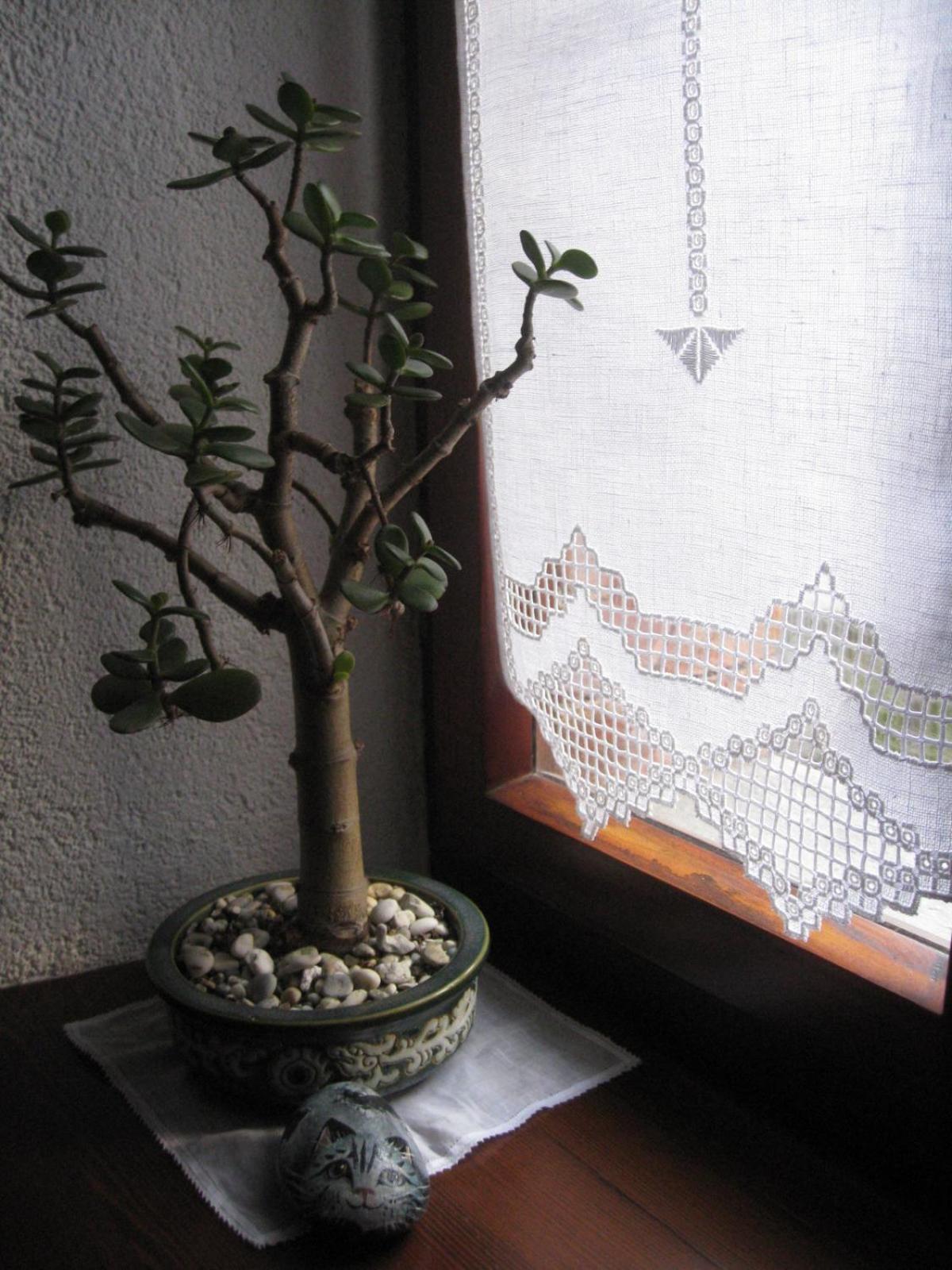 Sot I Volz - Affittacamere