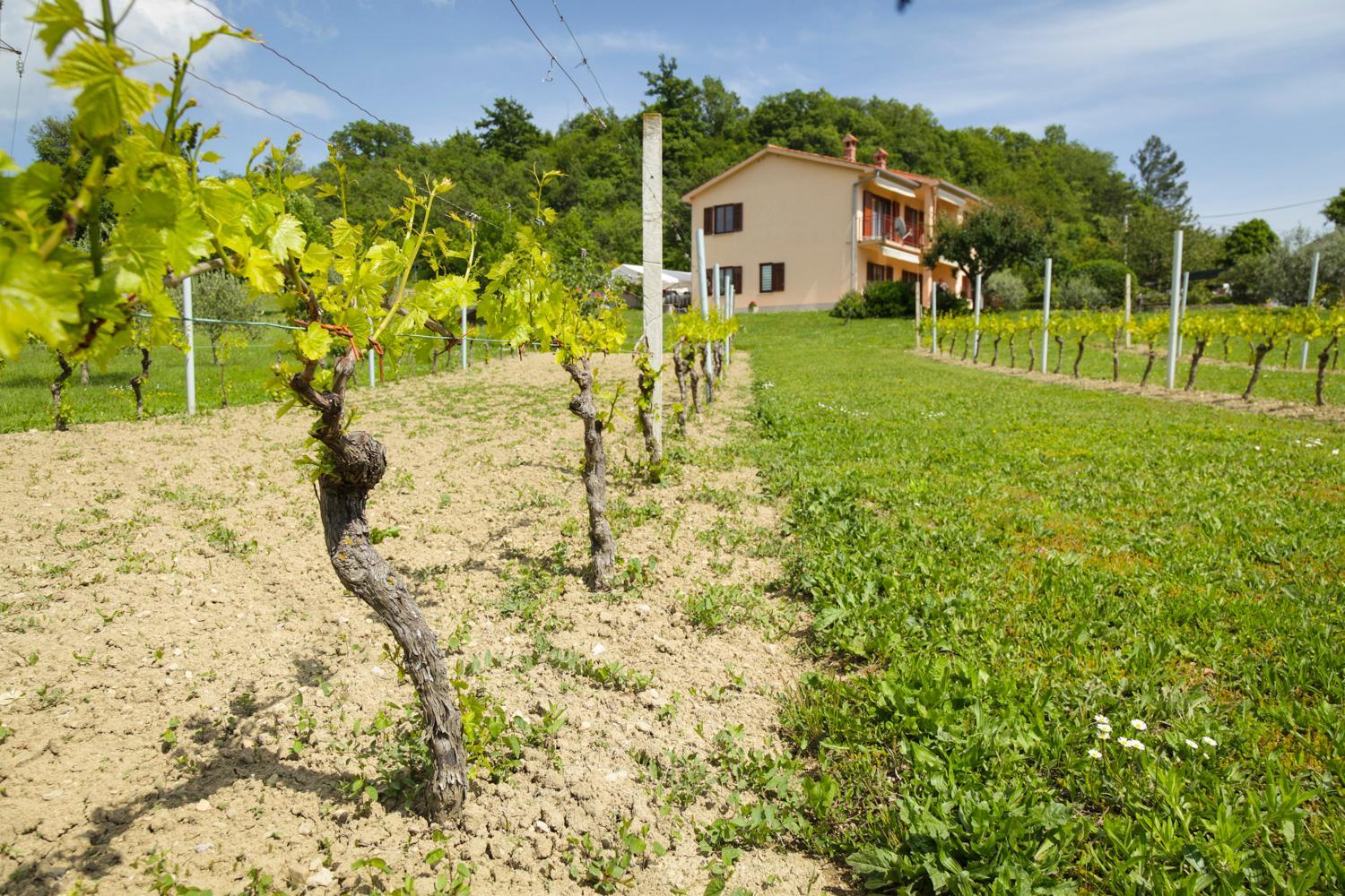 Studio apartment 365