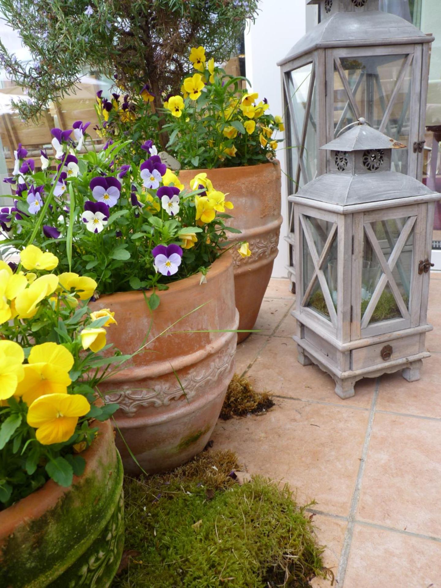 Pension Bergterrasse