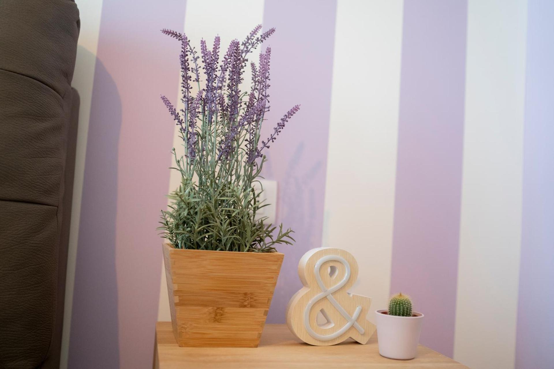 Anna & Alfredo bed and breakfast