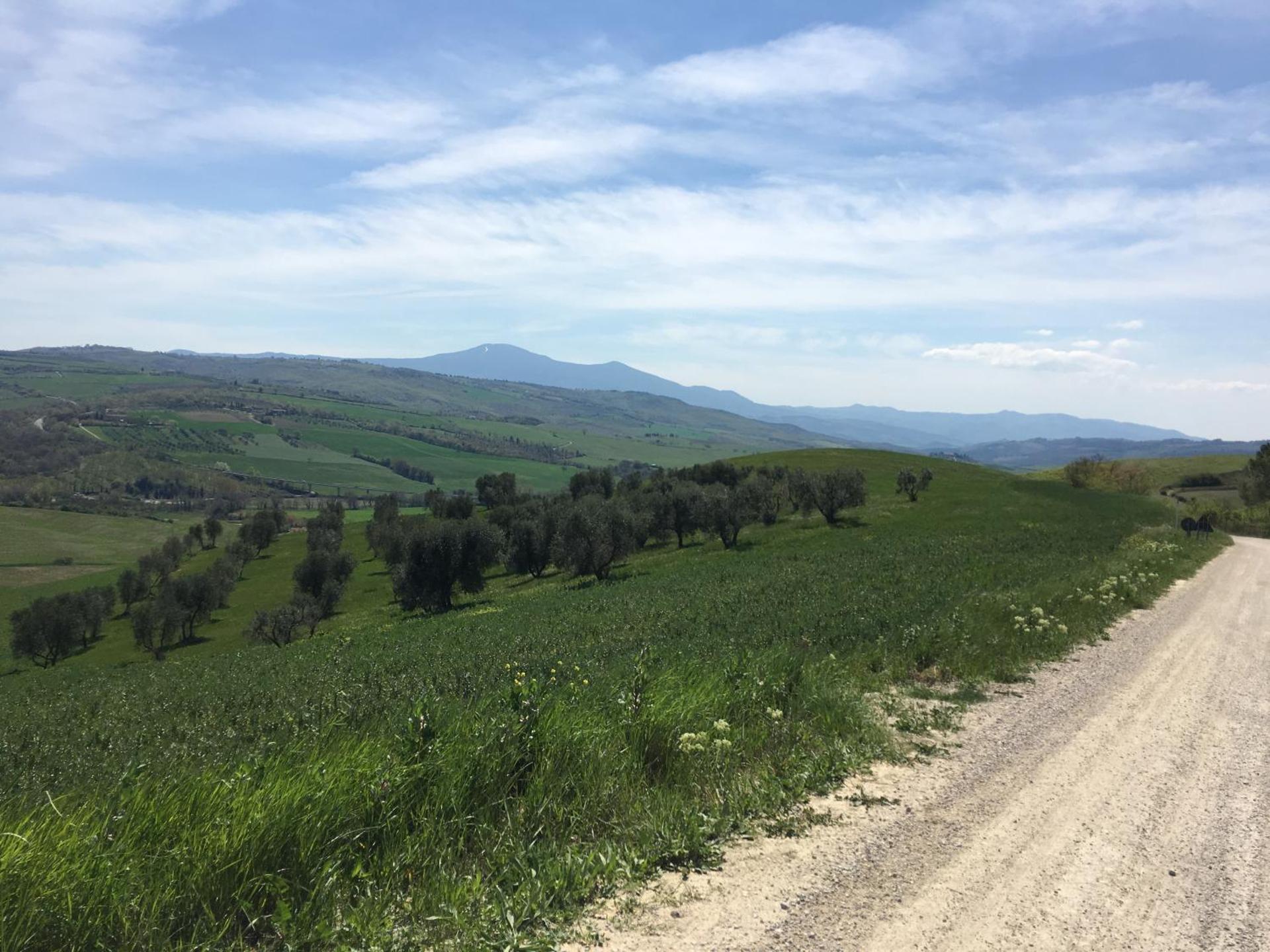 Cordella In Valdorcia Truffle and Olive Oil Resort