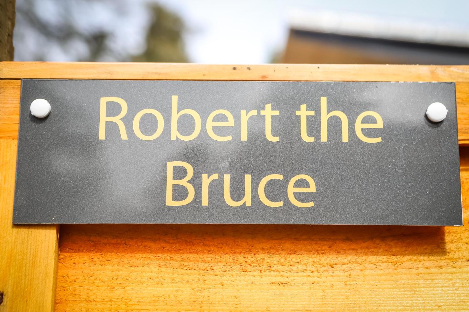 Studio with Garden View