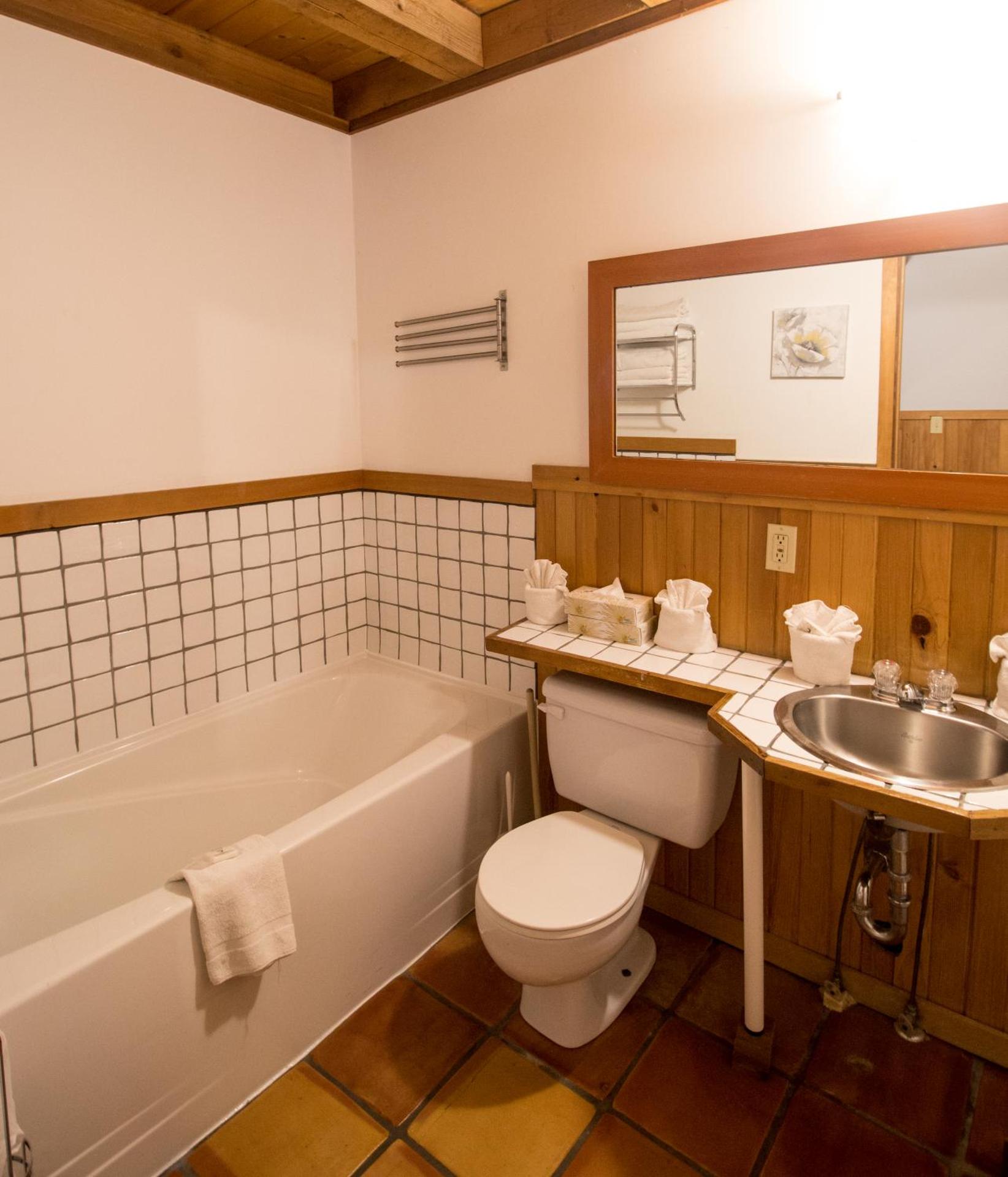 One Bedroom B (Hot Tub + Forest View)