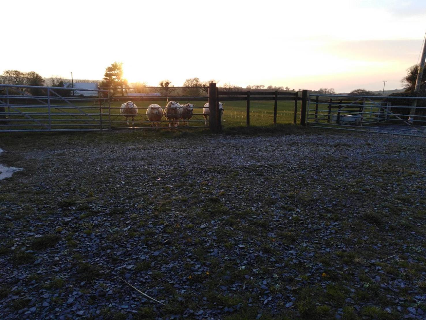 Conwy Pen Cefn Farm Holiday