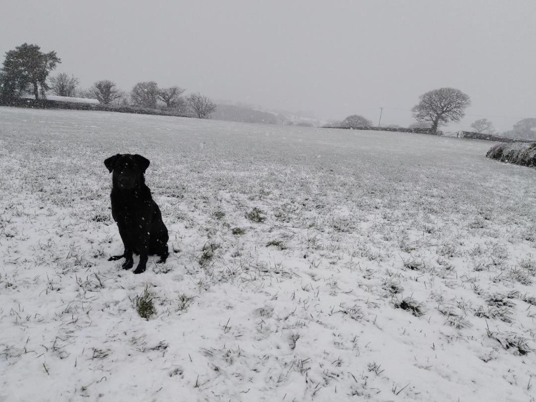 Conwy Pen Cefn Farm Holiday
