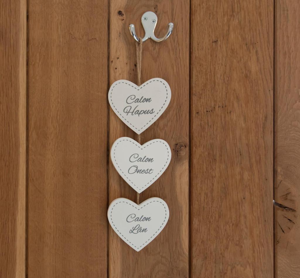 Conwy Pen Cefn Farm Holiday