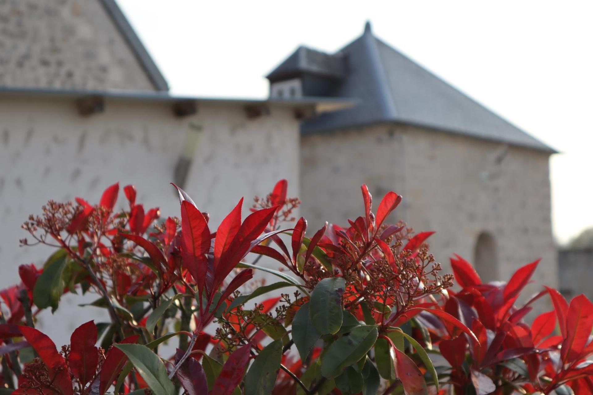 Gîtes De Saint Rémy