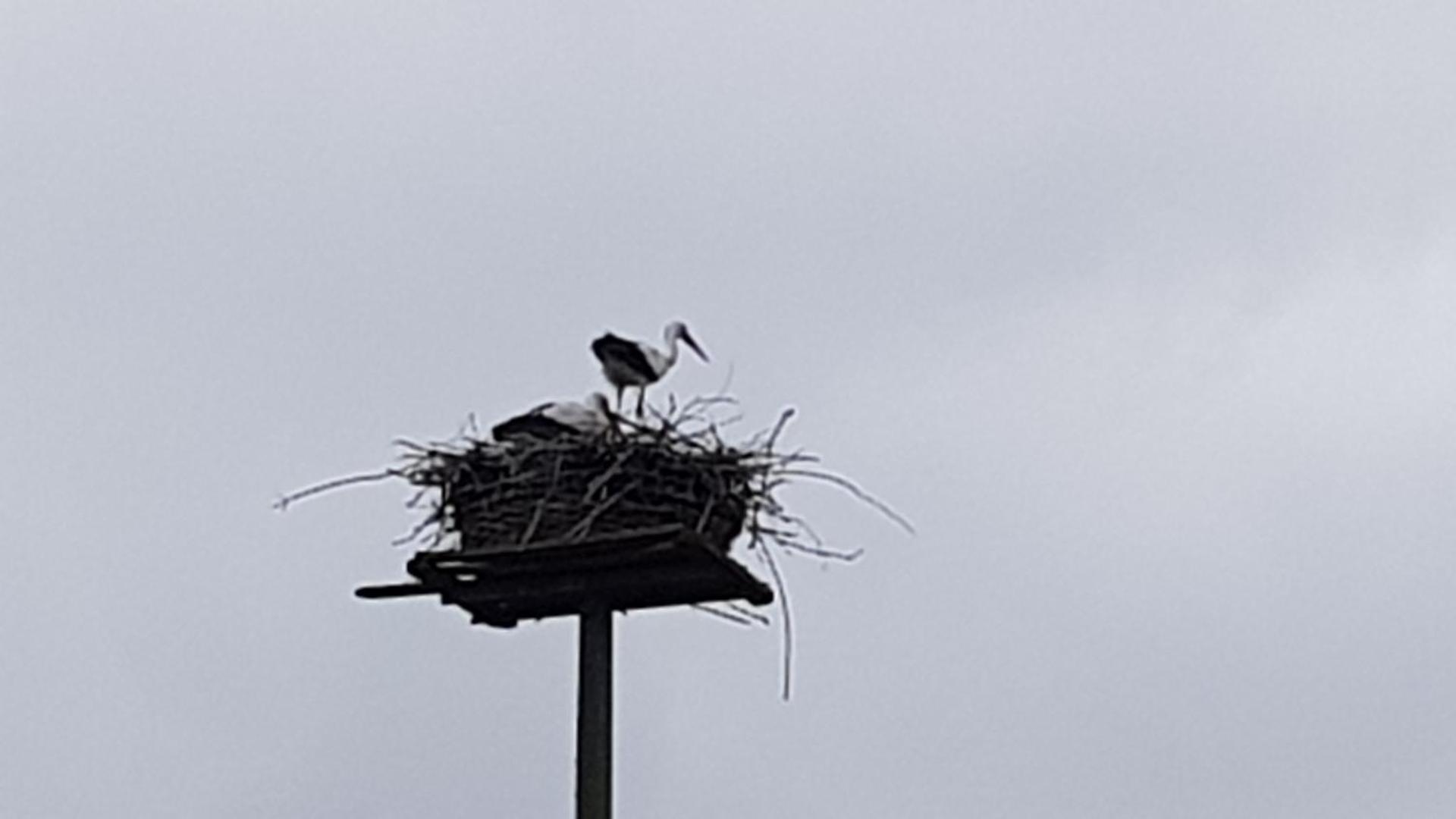 Ferienwohnung am Nord-Ostsee-Kanal