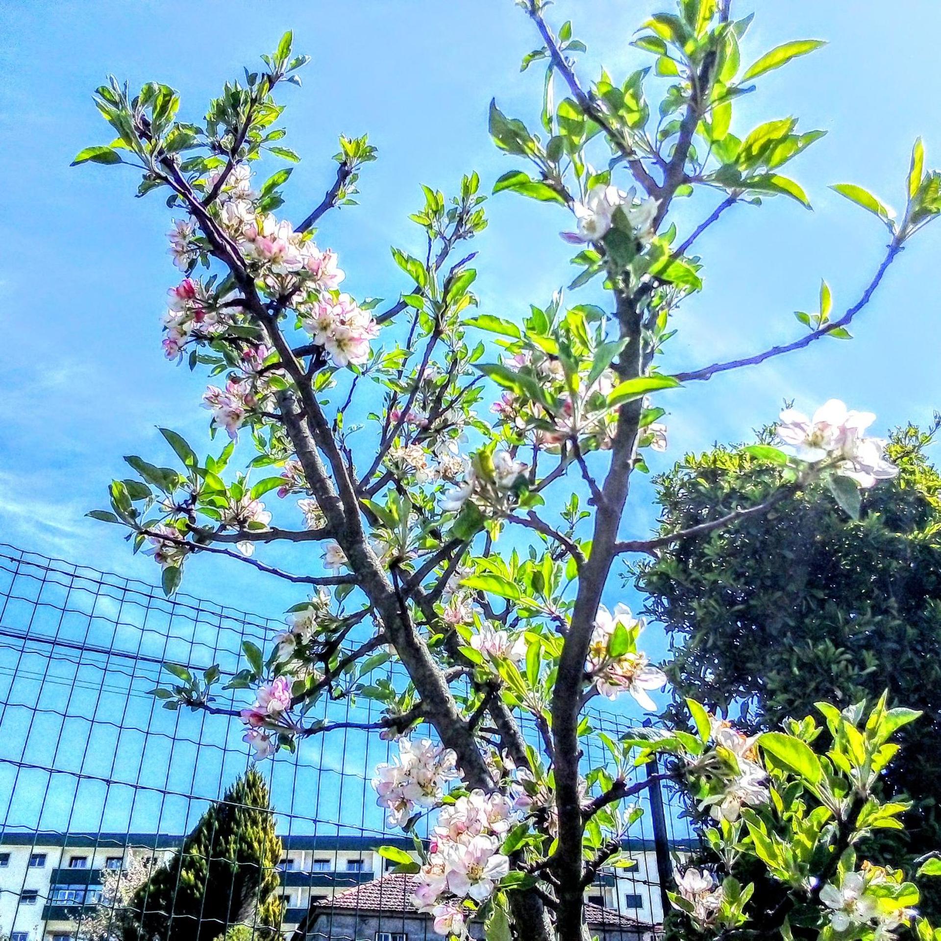 Casa Vale do Rio Ovil