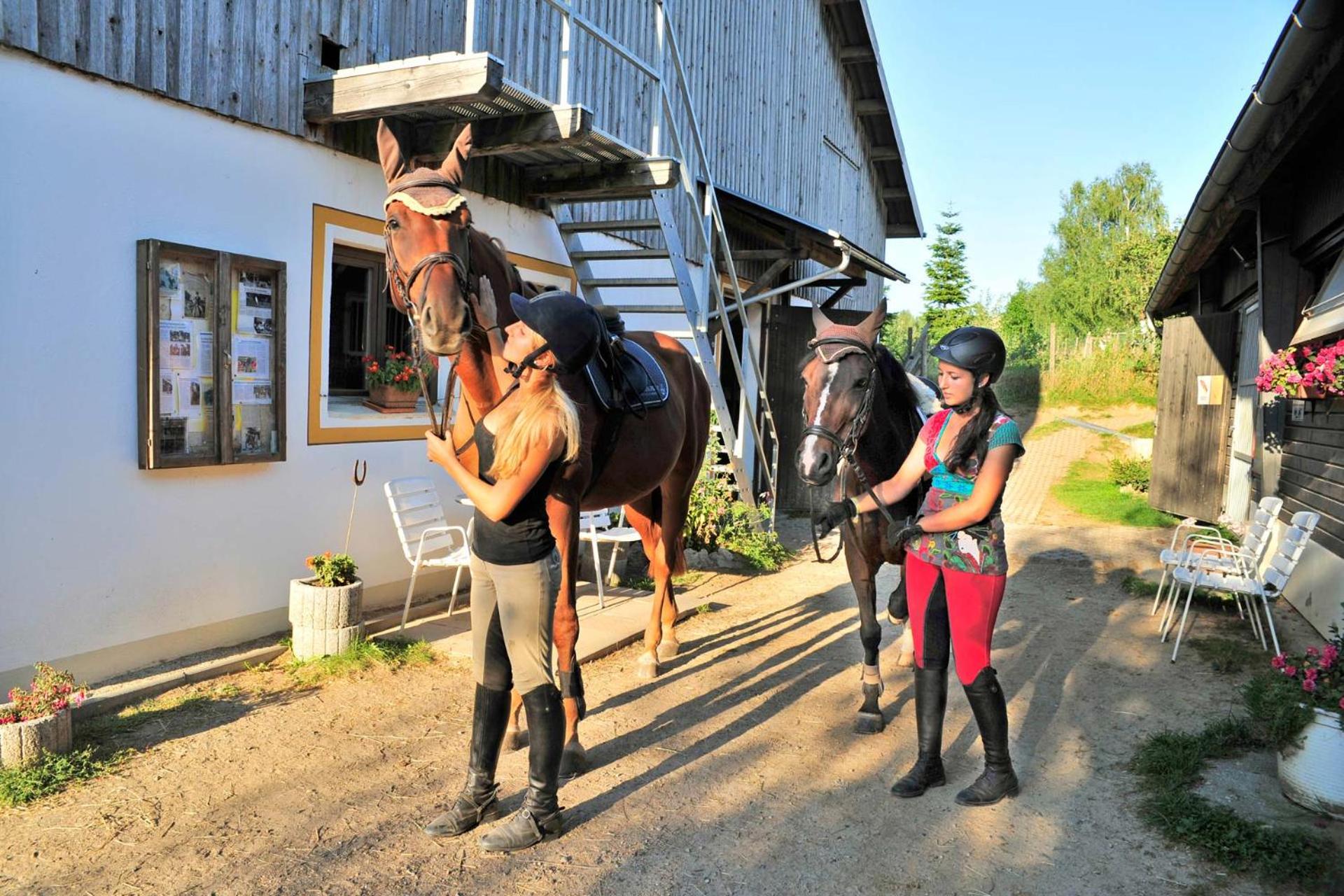 Familienhotel Reiterhof Runding