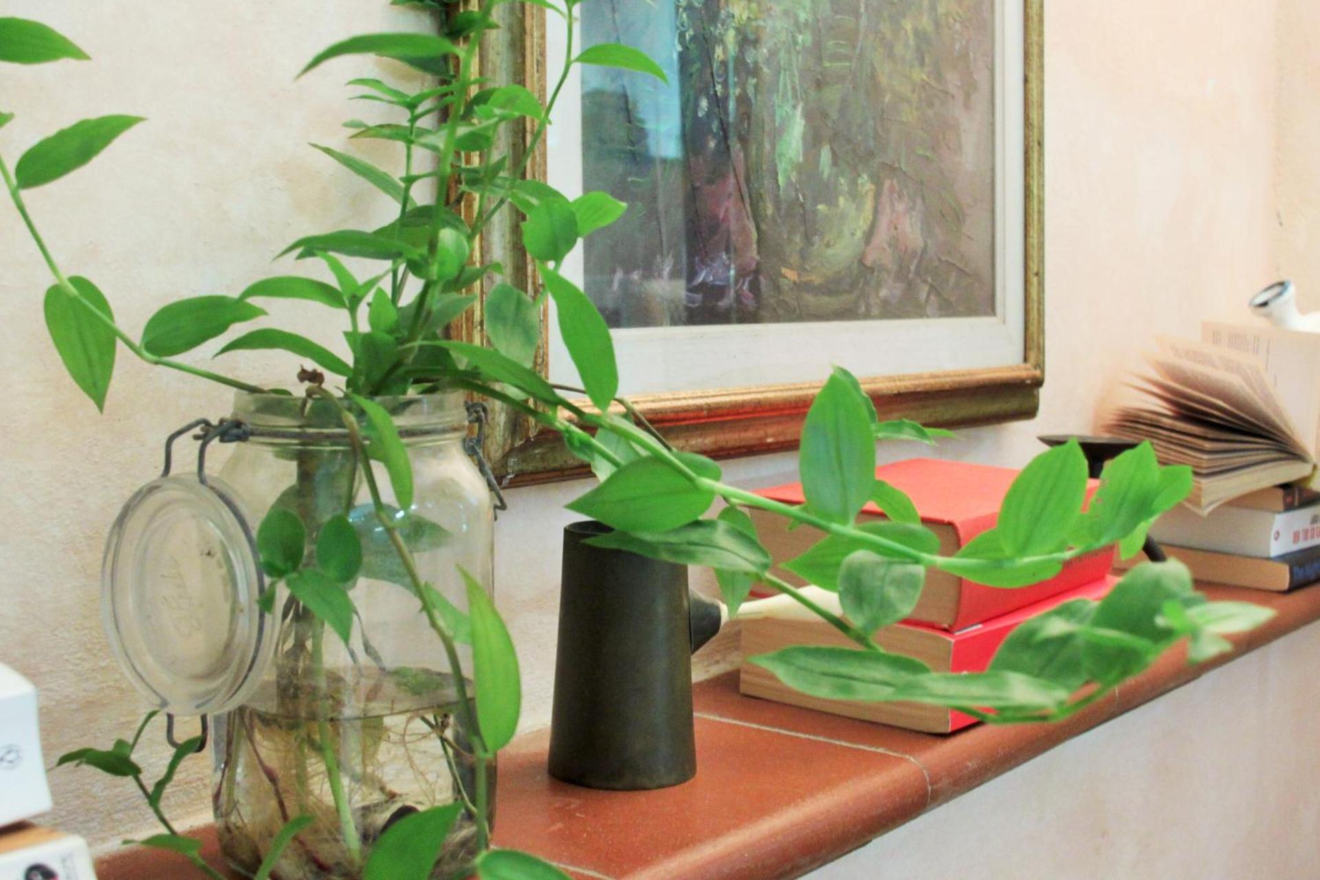 Studios Garden Terrace Oltrarno