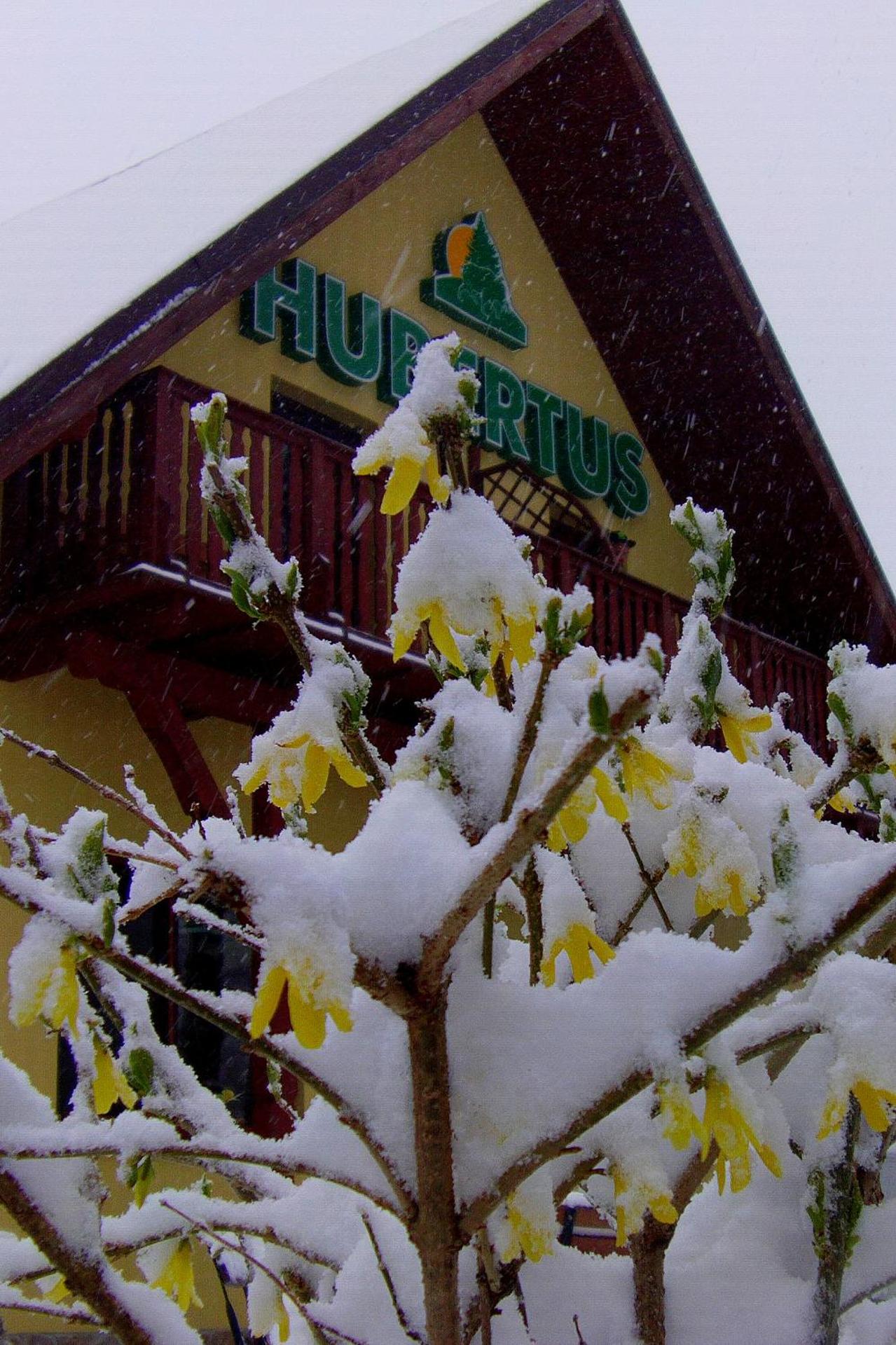 Hubertus Pokoje Gościnne