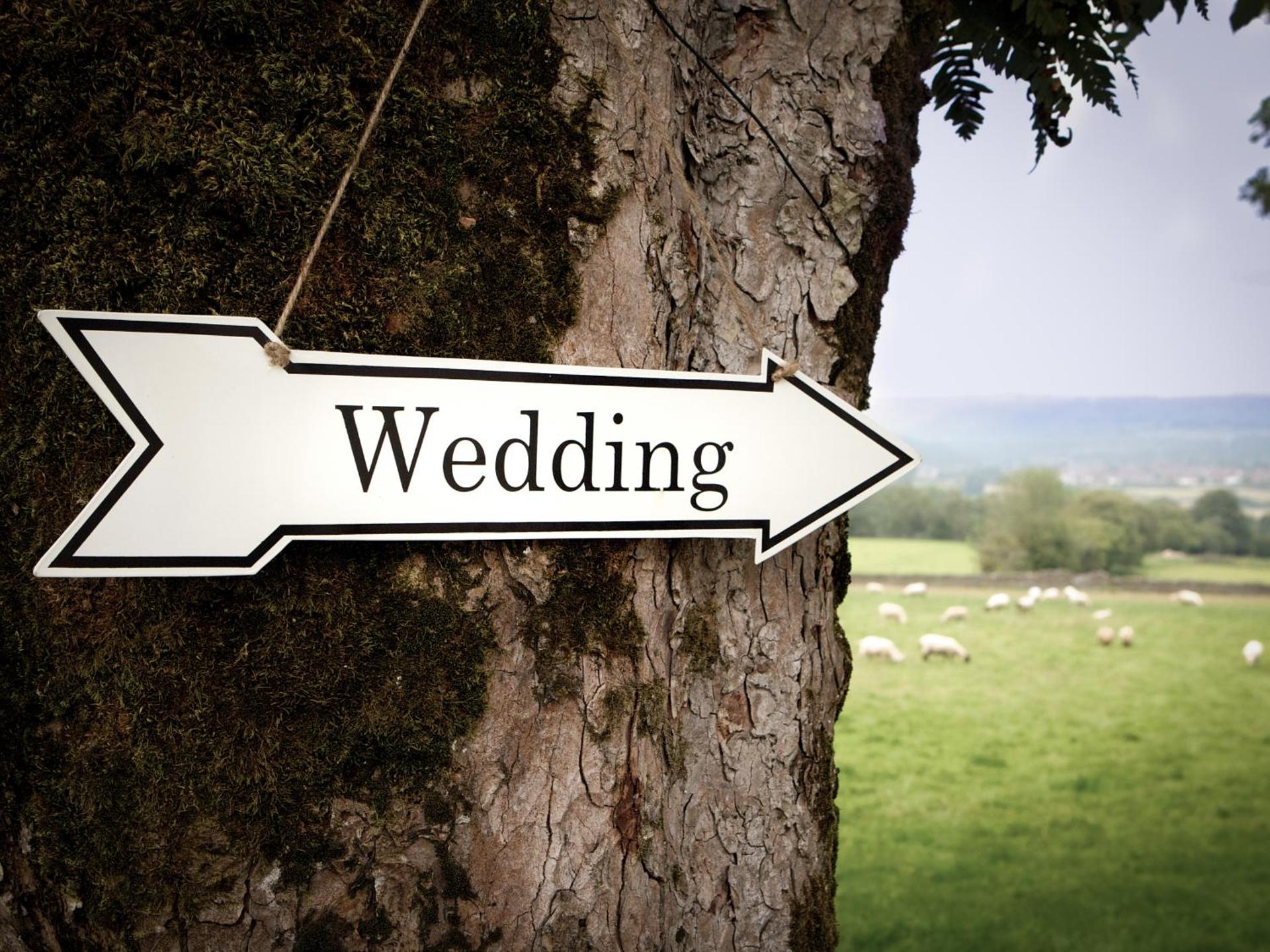 Logo/Certificate/Sign