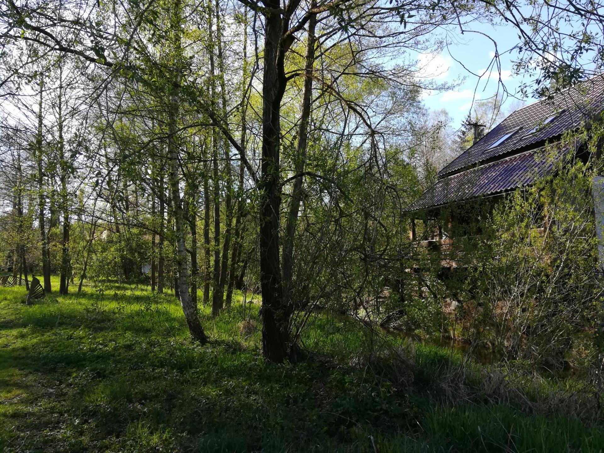 Isabellental - Blacksmithing