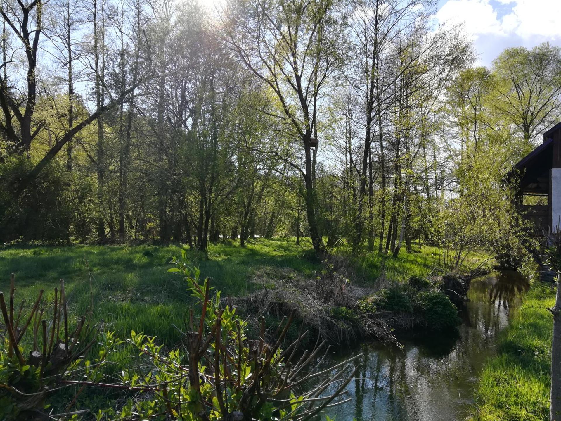 Isabellental - Blacksmithing