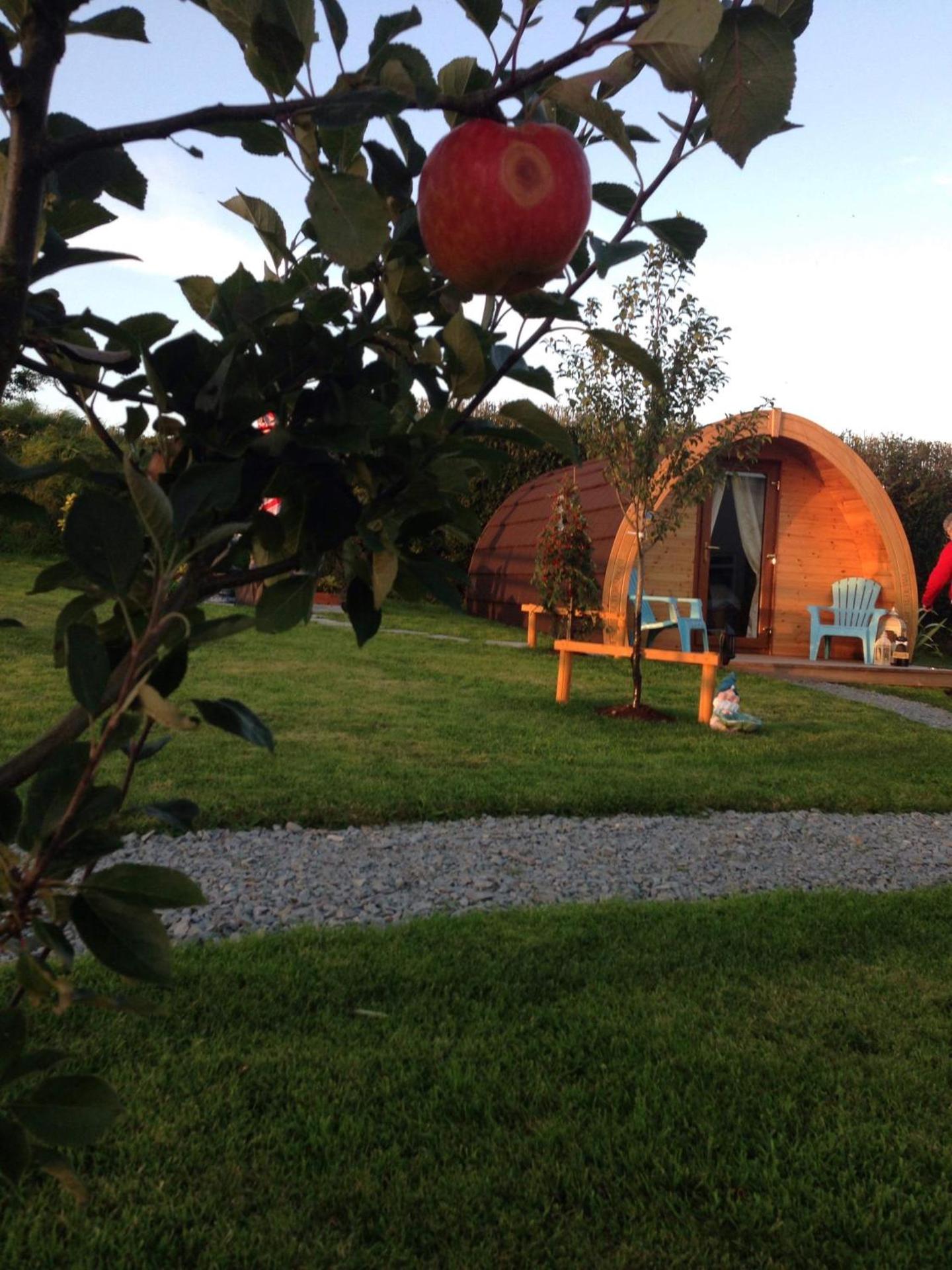 Clonakilty Accommodation