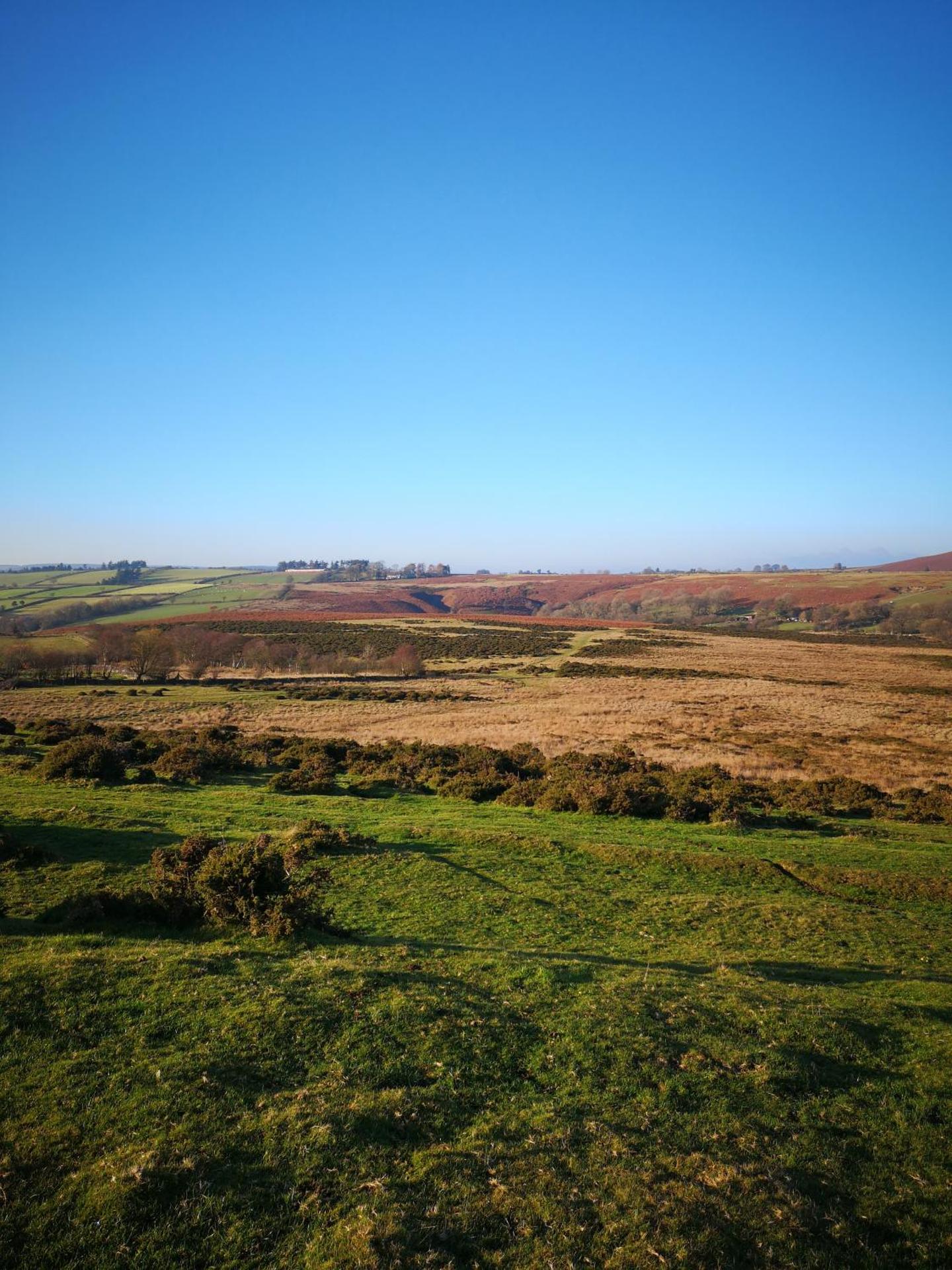 Pen-Rhos luxury glamping "Cuckoo's Nest"