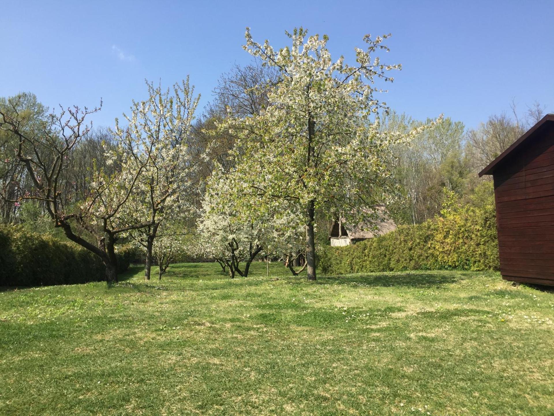 Víz-Party vendégház