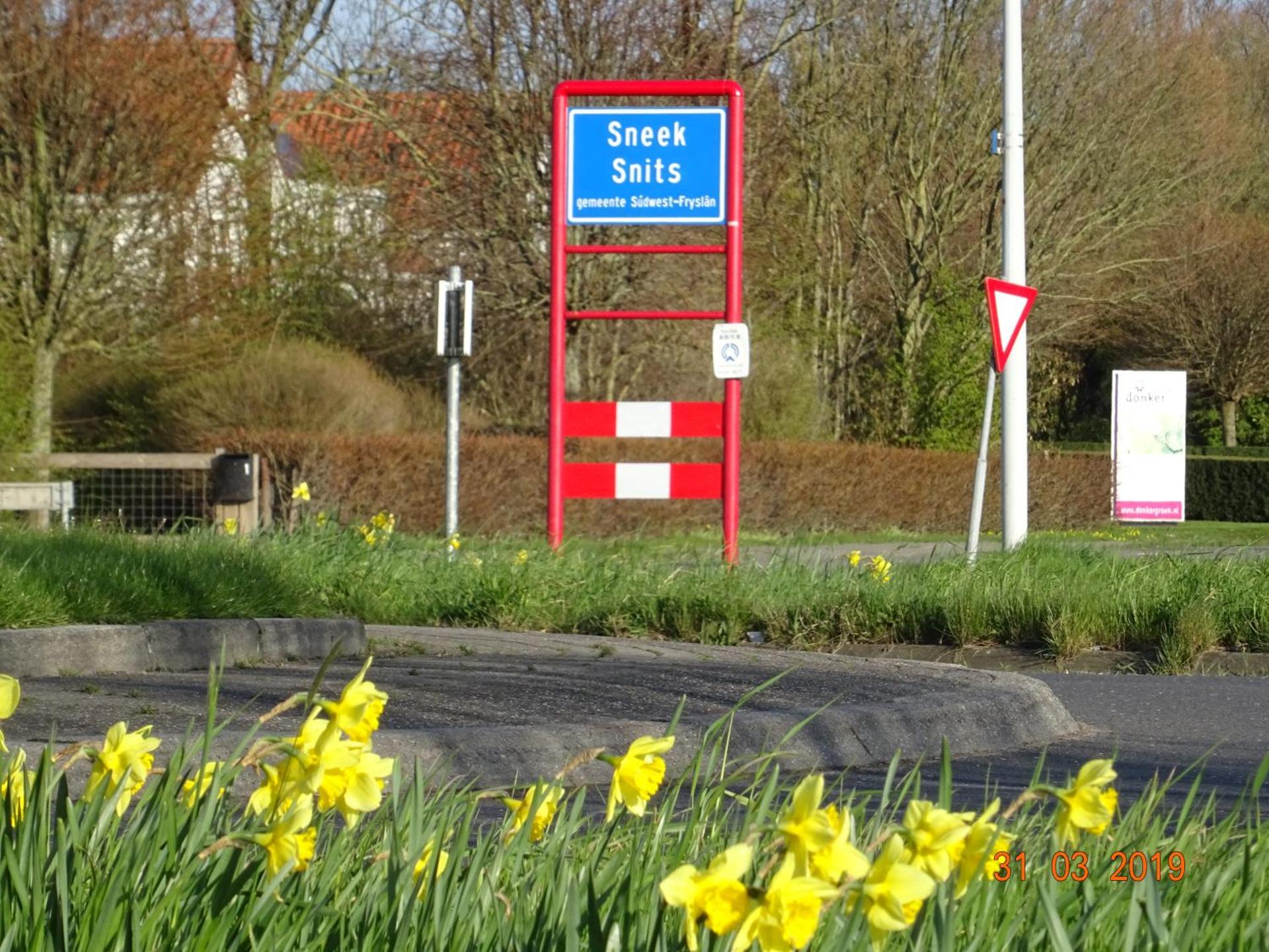 Logo/Certificate/Sign