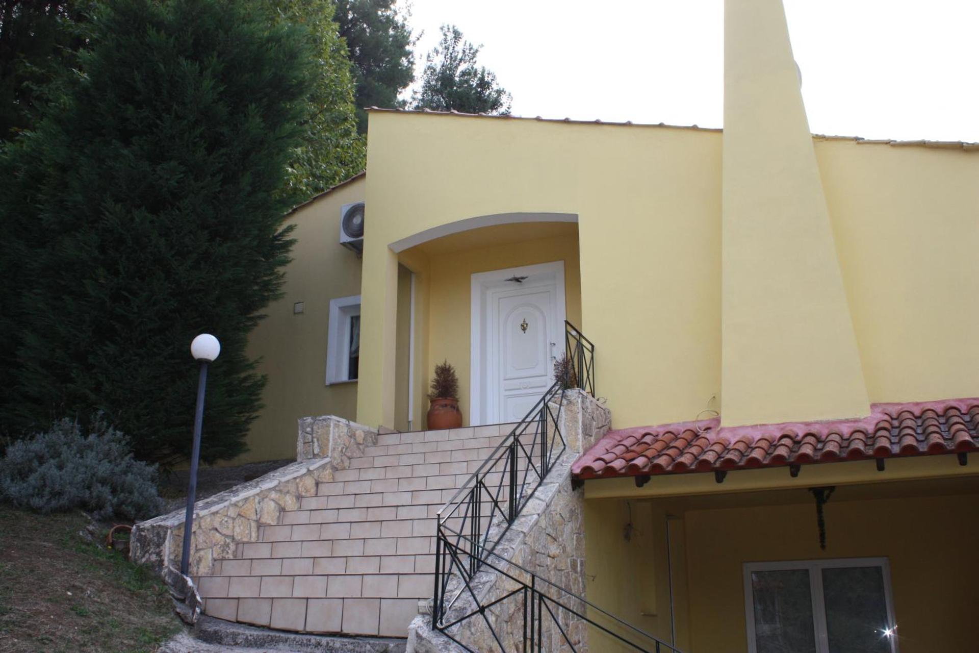 Six Steps From The Forest