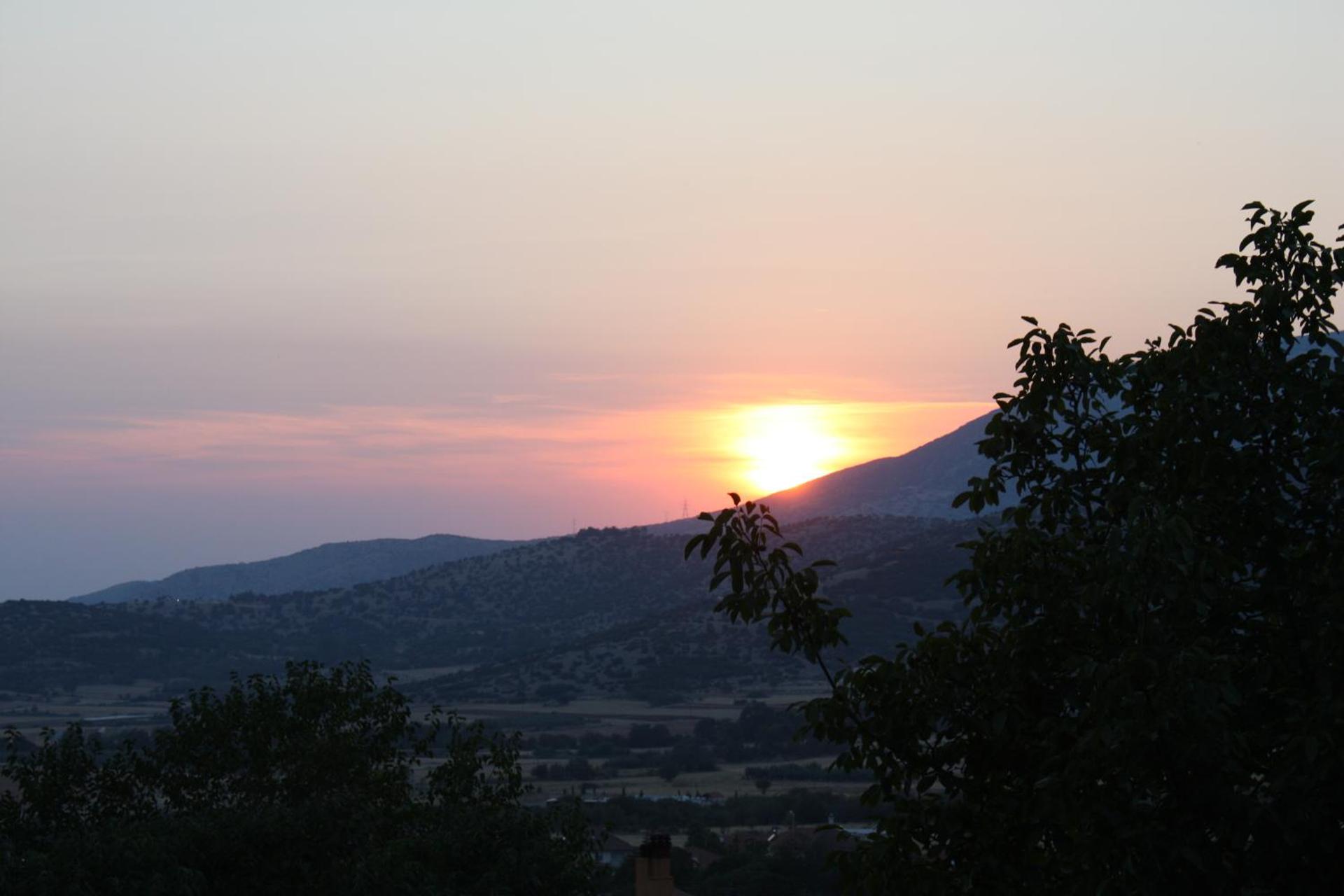 Six Steps From The Forest