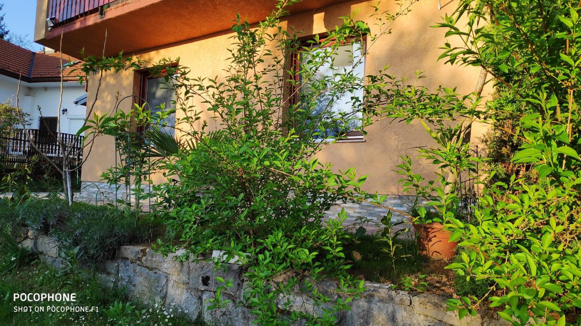 SMARAGD RIVER near Rastoke & Plitvice Lakes