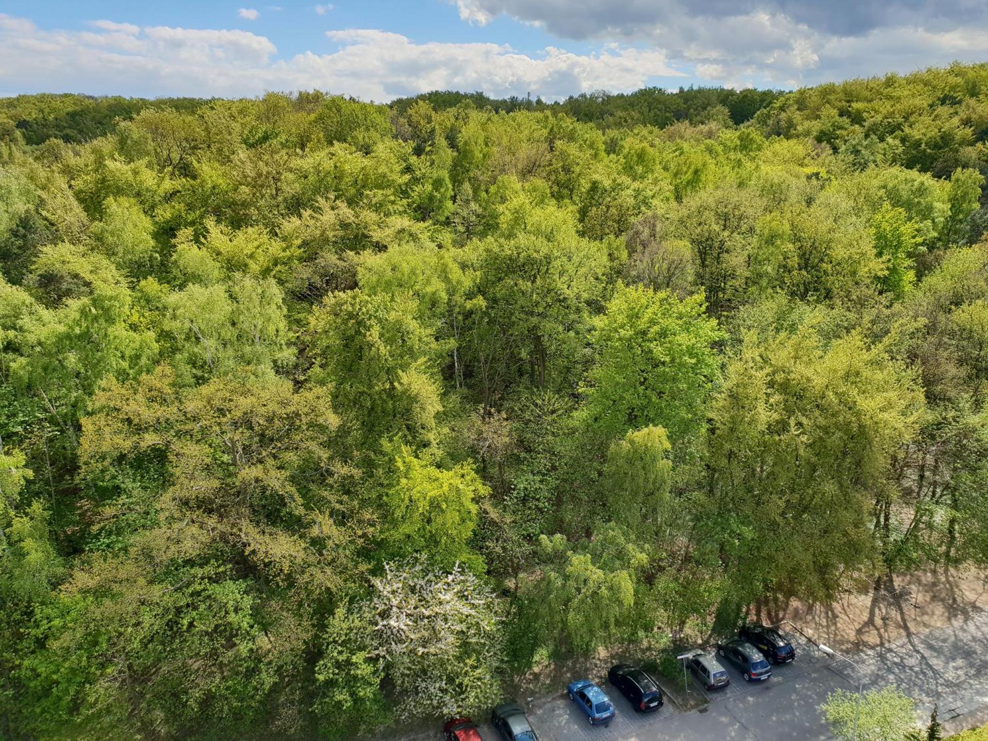 Apartament Gdynia Open