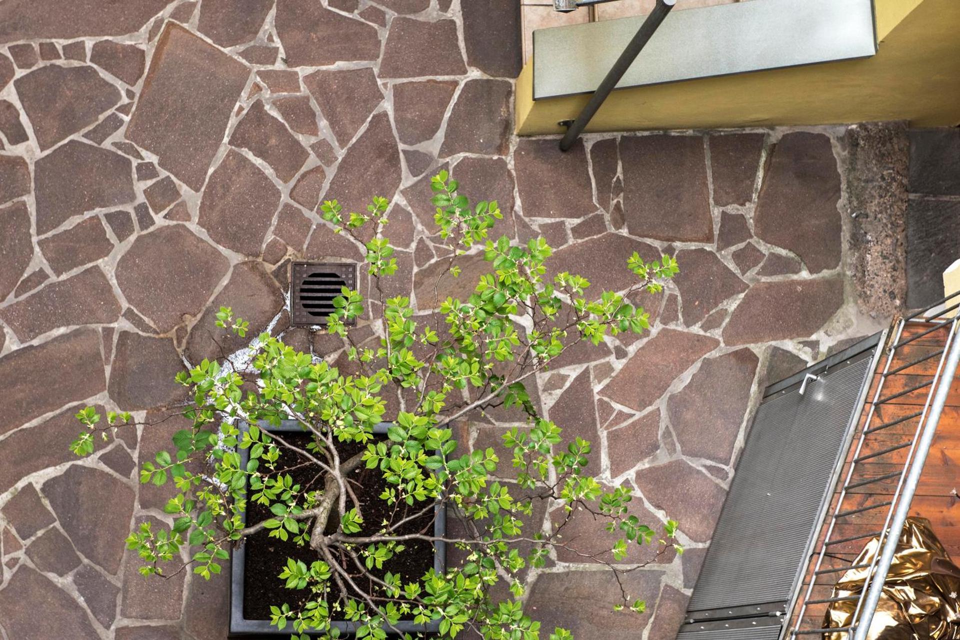 Inner courtyard view