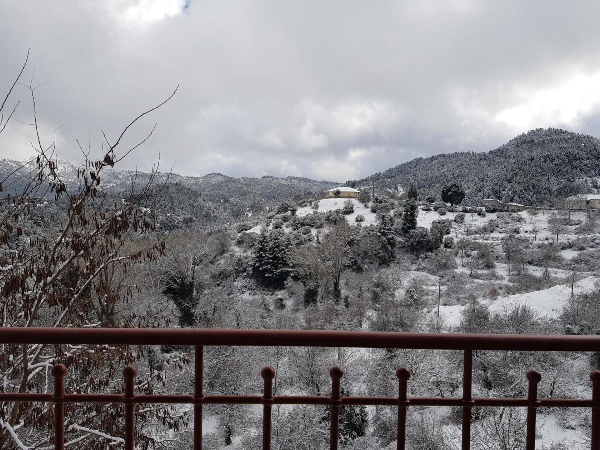 Petra & Elato Art Hotel