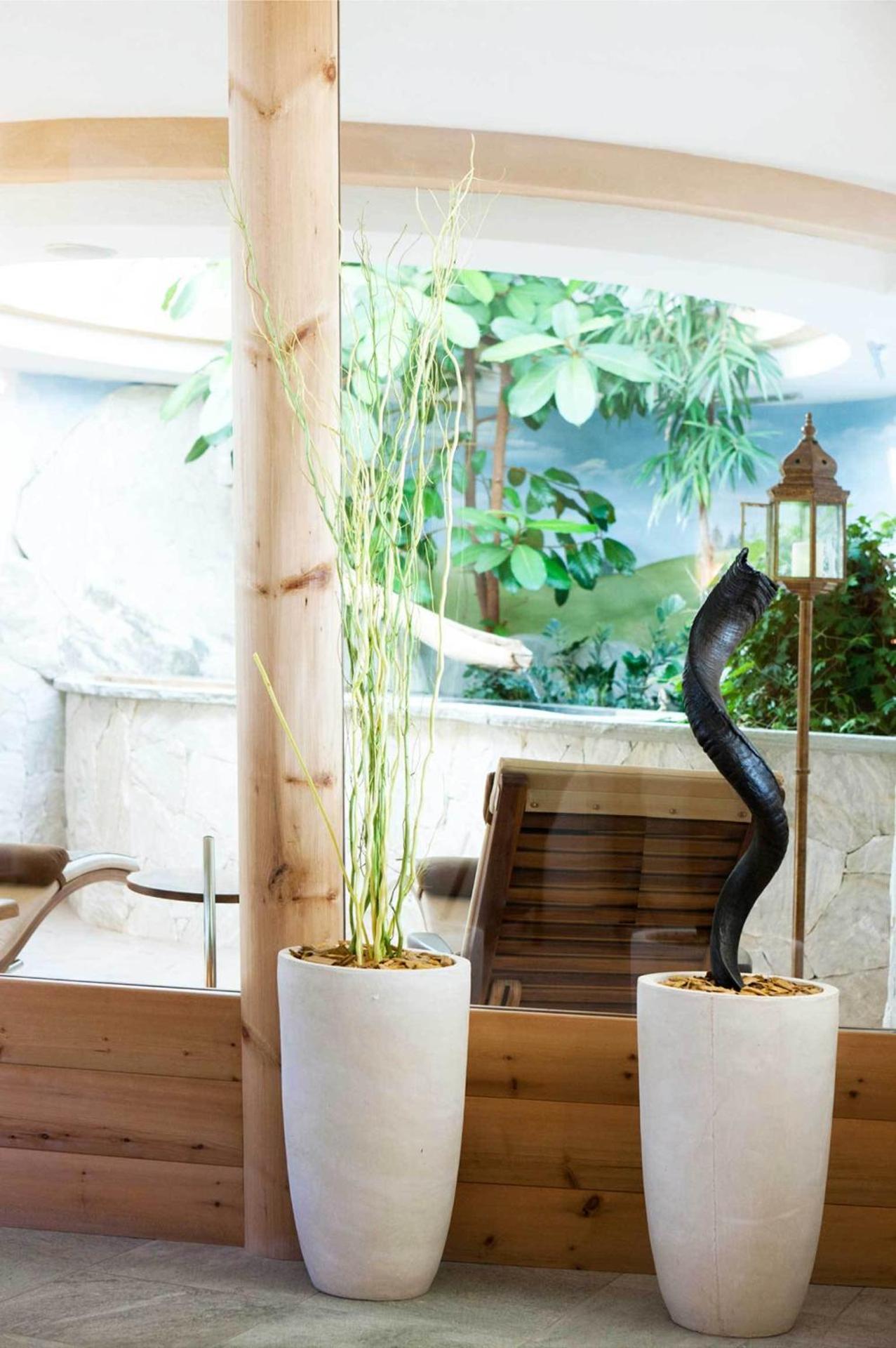 Spa and wellness centre/facilities