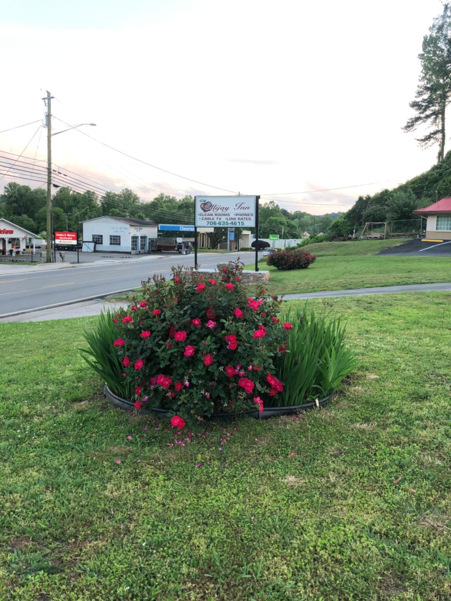 Ellijay Inn - Downtown Ellijay