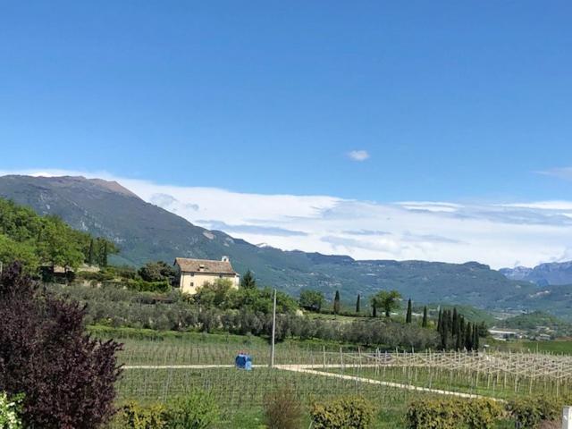 Deluxe Room (2 Adults + 1 Child)