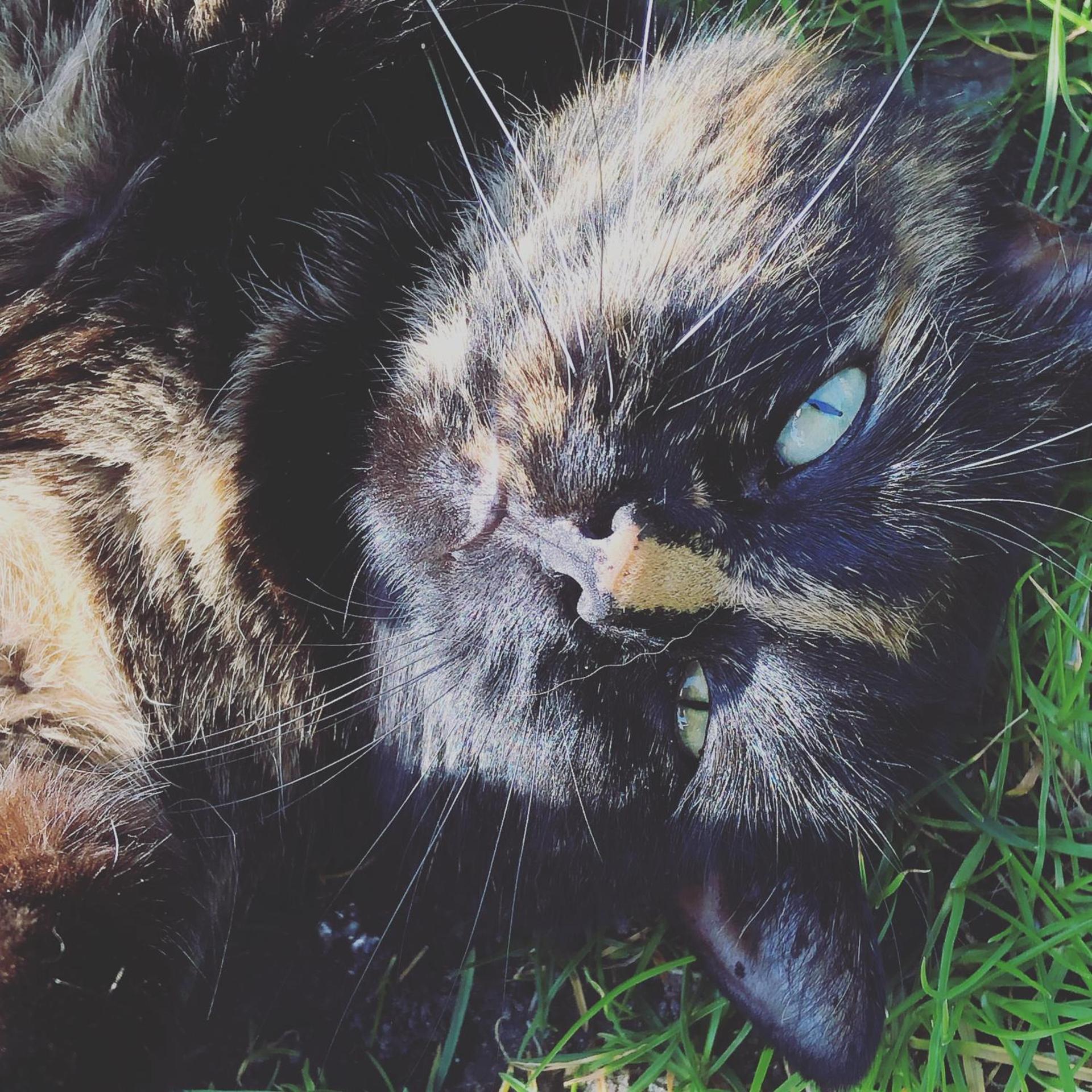 Bed & Breakfast Yerseke