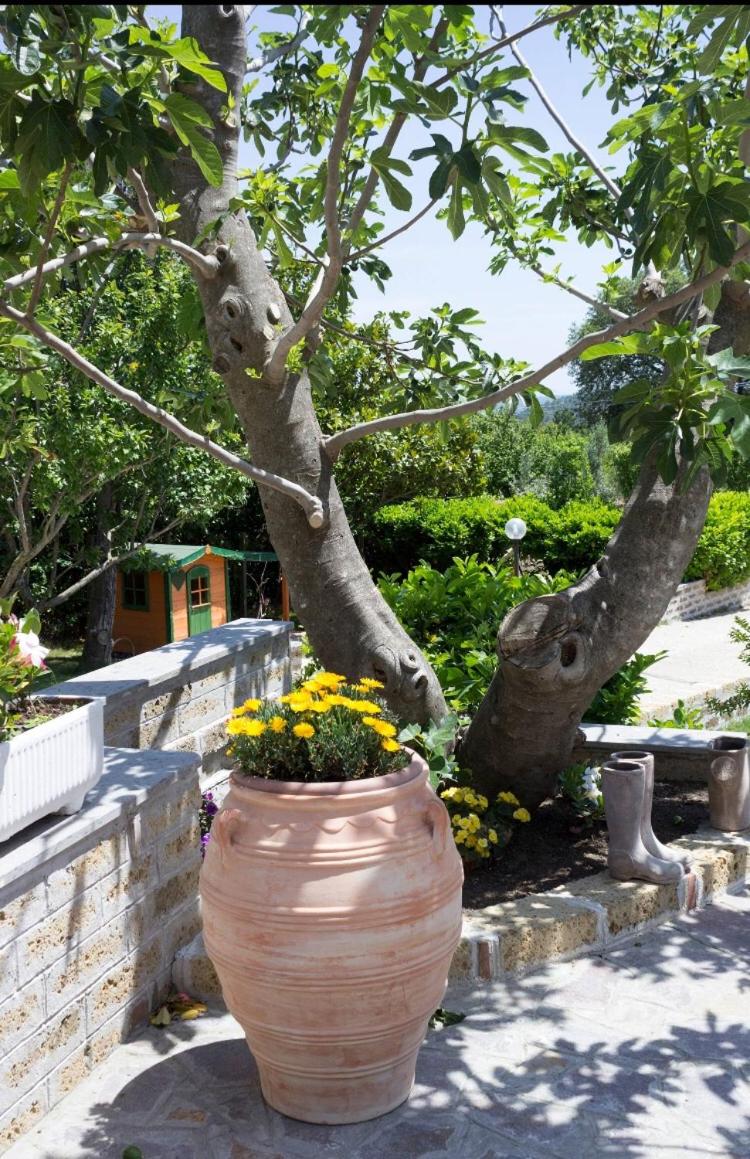 favoloso appartamento in villa