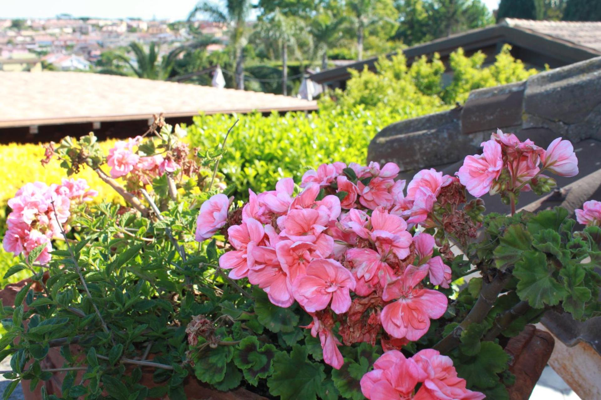 Villa Francesca Pomezia Roma