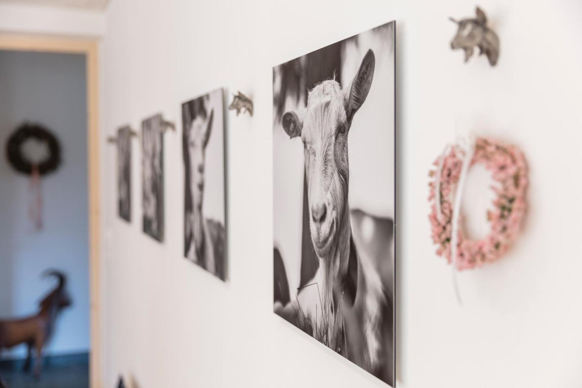 Neuhof Gäste-& Schokohaus