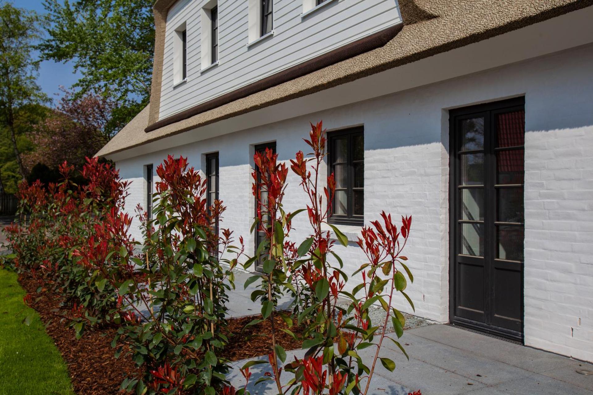 Im Reethus Kleegrün