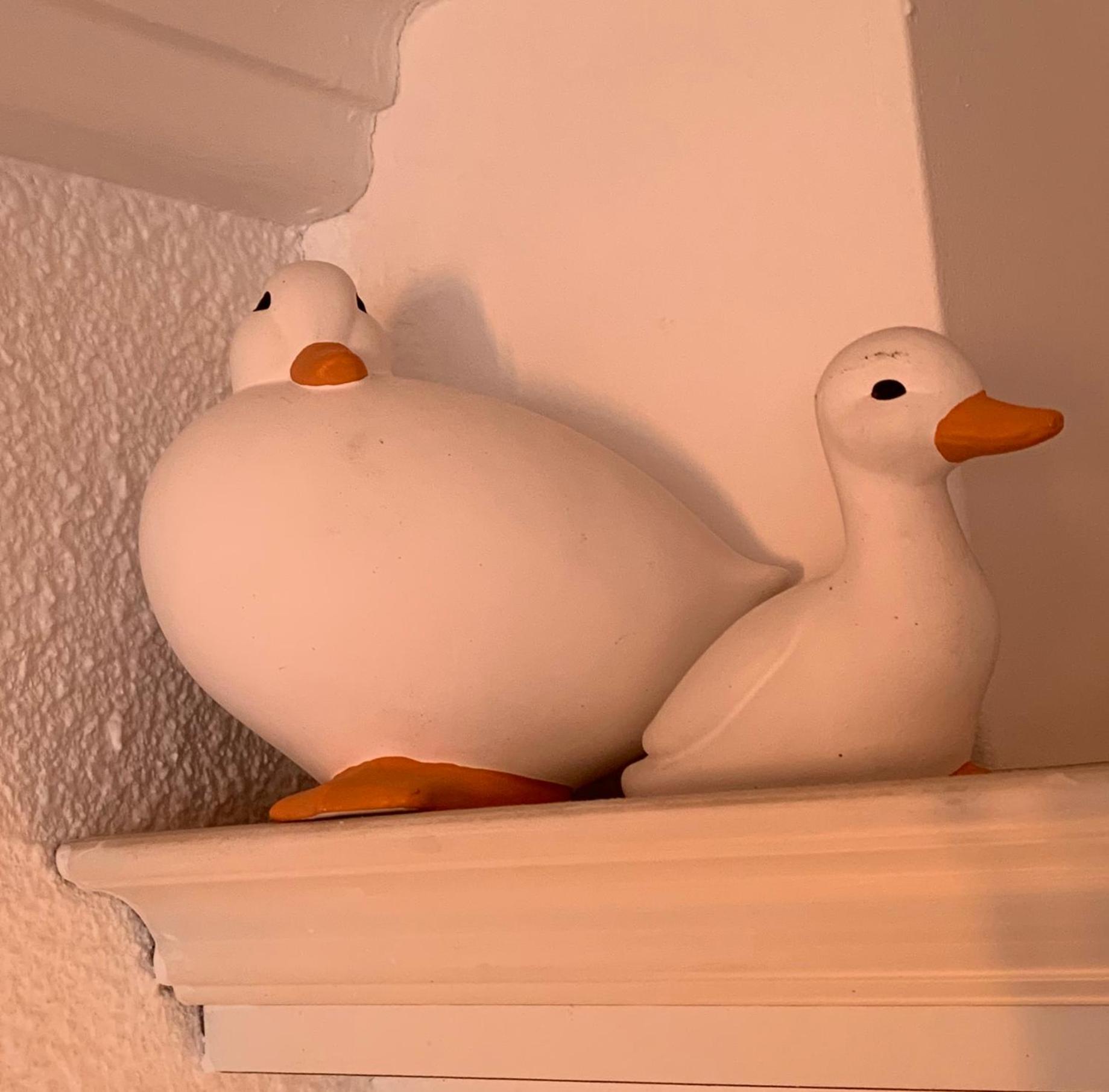 Les pieds dans l'eau accès direct à la plage !