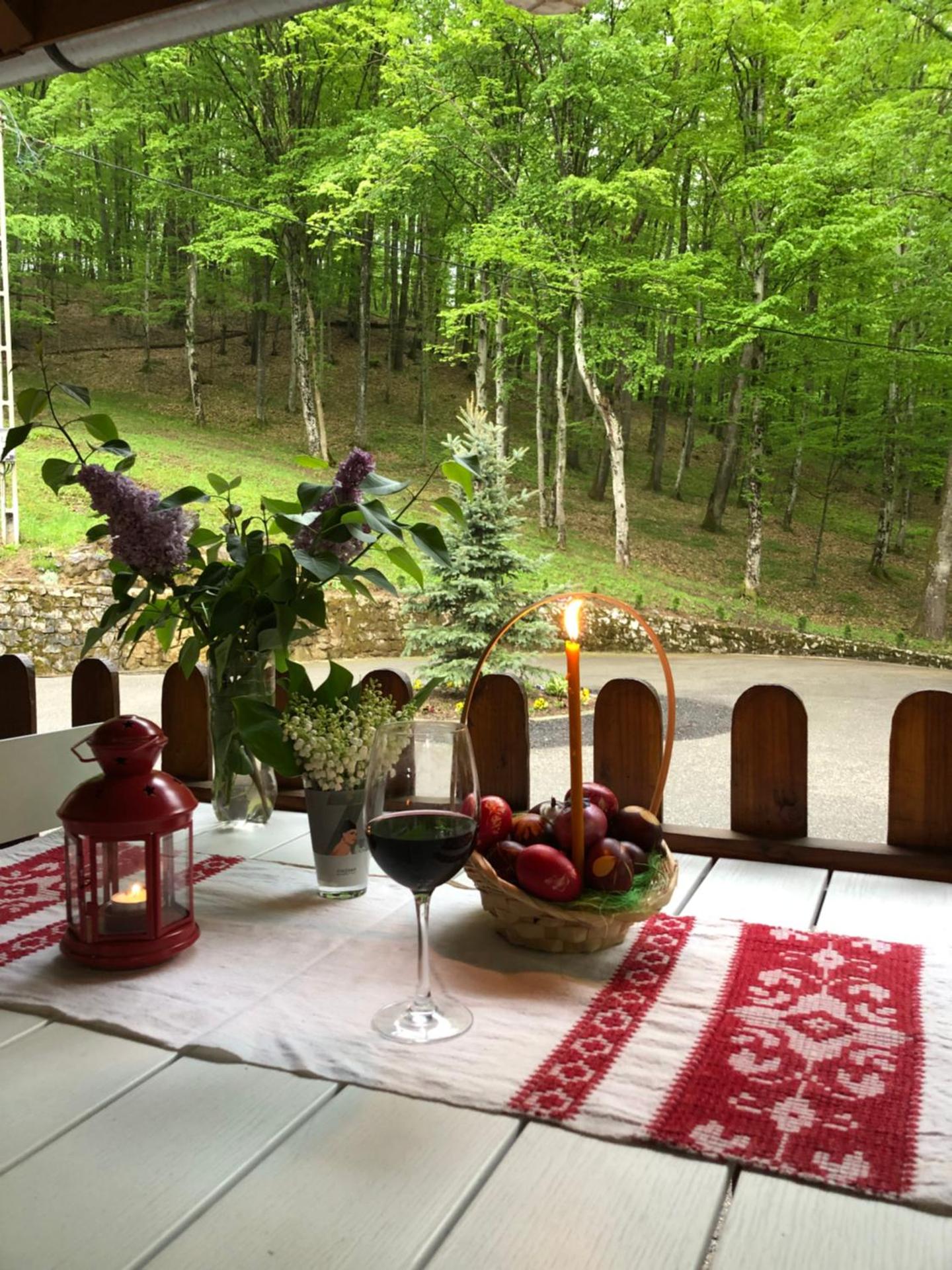 Pensiunea Valea Gepisului