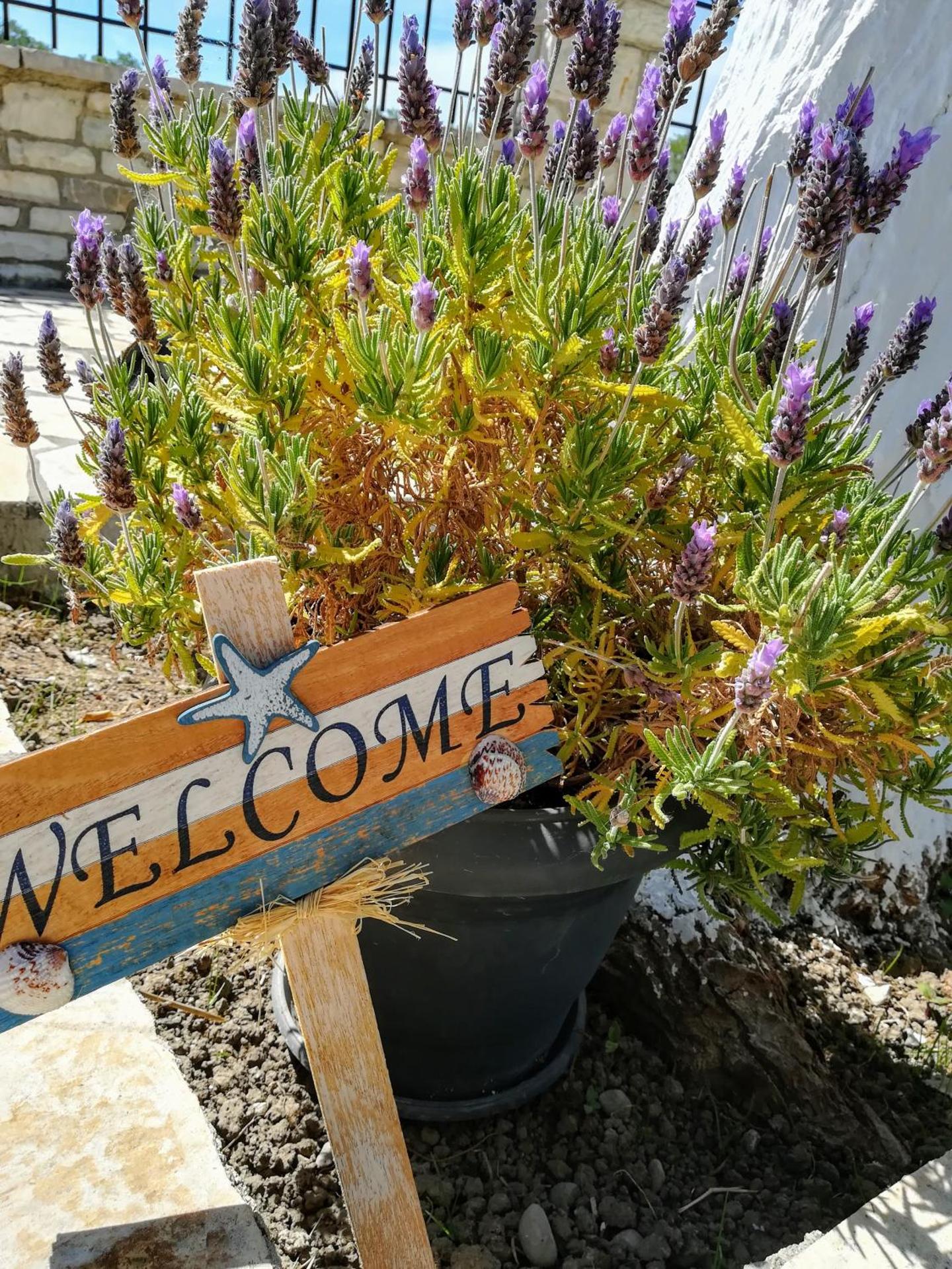 Eleftheria's Apartments