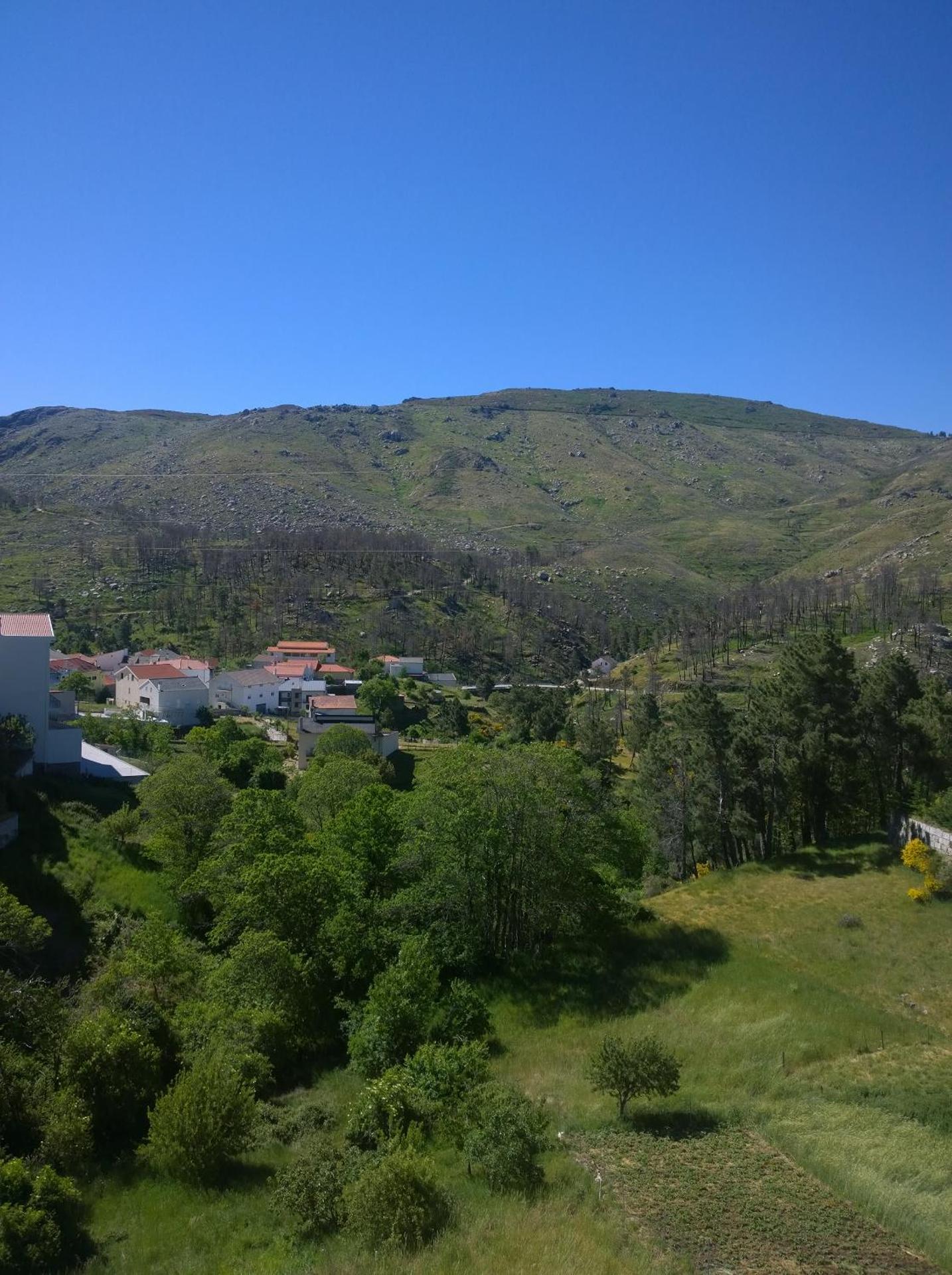 Monte Estrela
