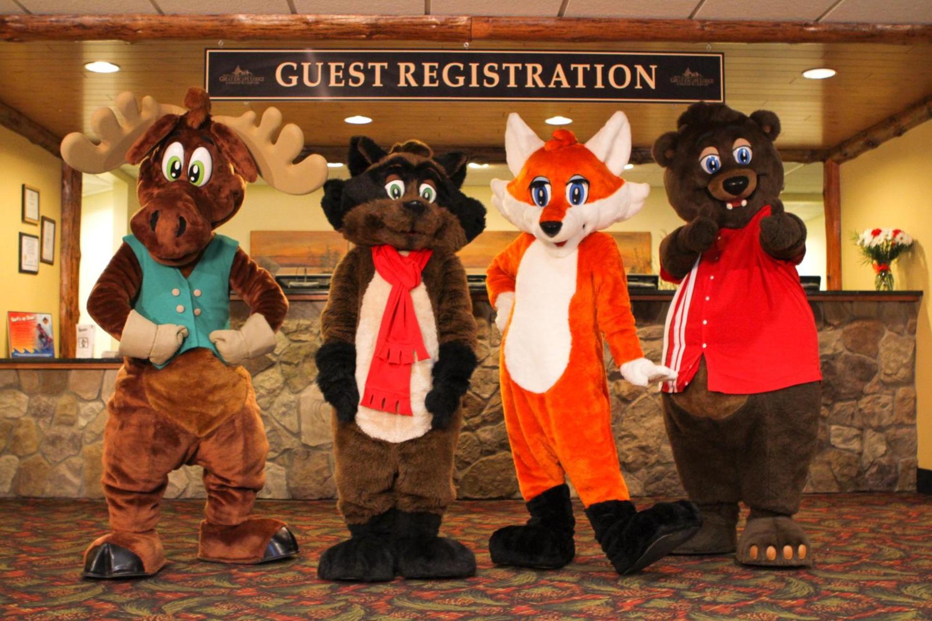 Evening entertainment