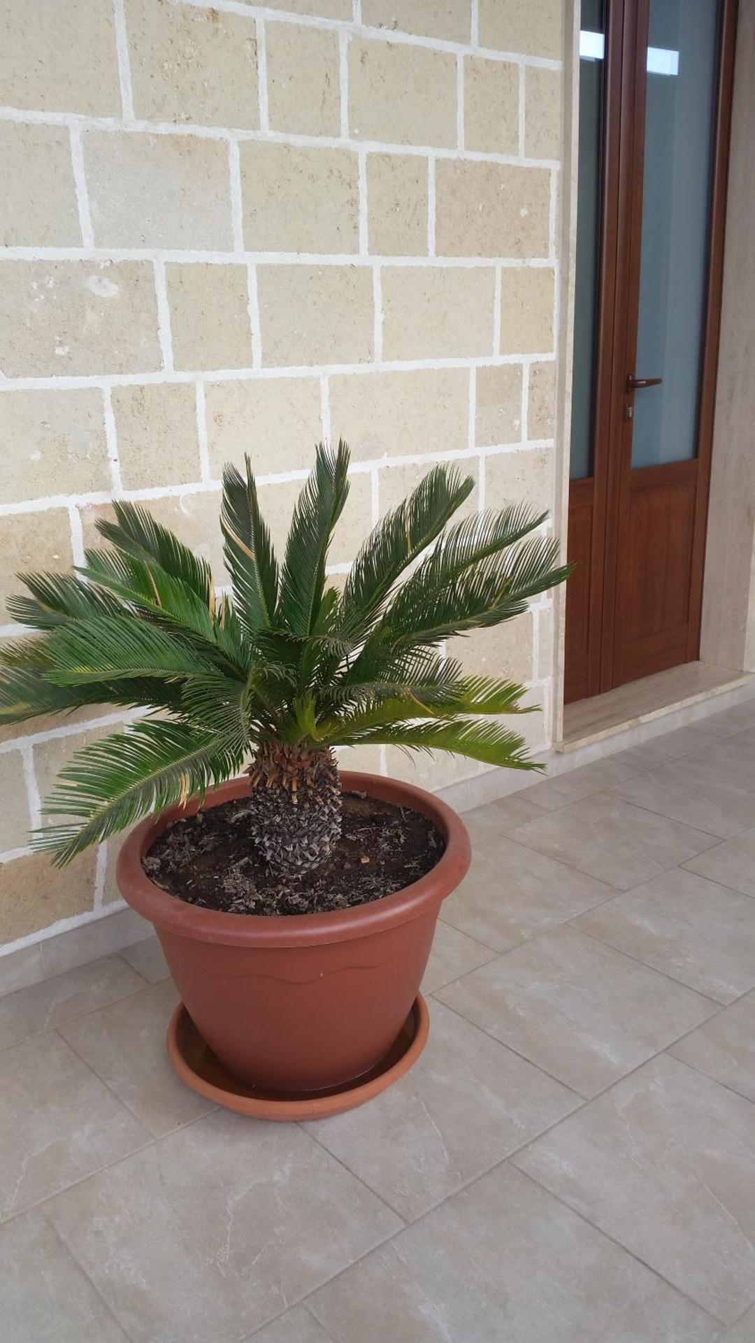 Casa Turistica LE SERVITE